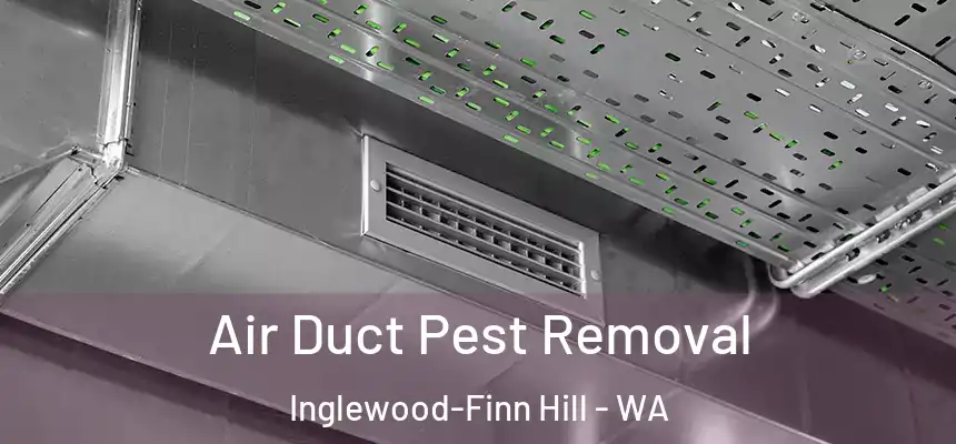  Air Duct Pest Removal Inglewood-Finn Hill - WA