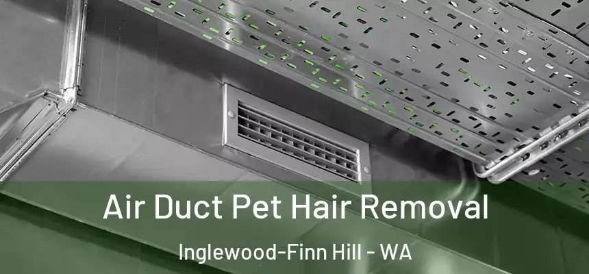 Air Duct Pet Hair Removal Inglewood-Finn Hill - WA