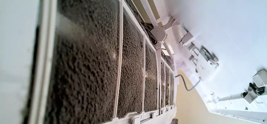 Preventive Air Duct Bacteria Removal in Inglewood-Finn Hill