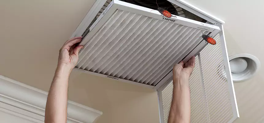 Preventive Cockroach-Proofing for Ducts in Inglewood-Finn Hill