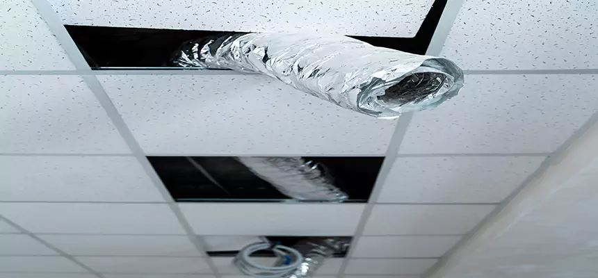 Our Air Duct Pet Hair Removal Services in Inglewood-Finn Hill, WA