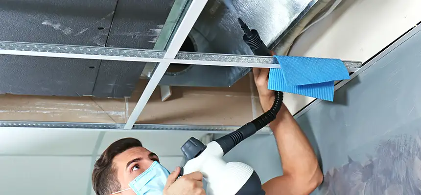 Our Air Duct Rodent Removal Services in Inglewood-Finn Hill, WA