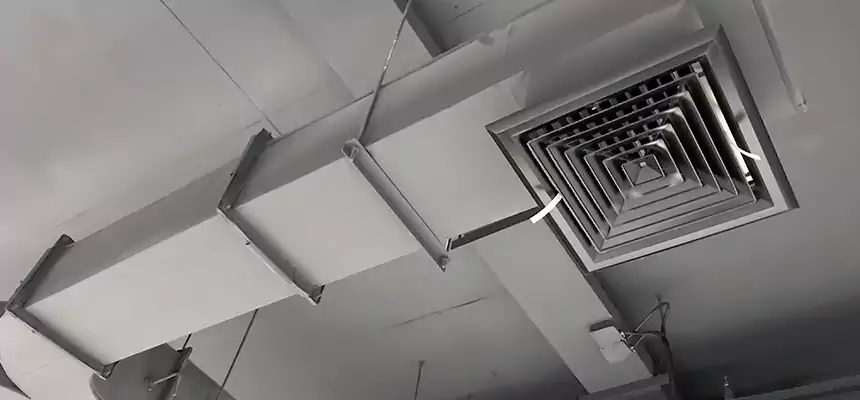 Restorative Allergy Relief Vent Cleaning – Coil, Blower & Housing Detail in Inglewood-Finn Hill