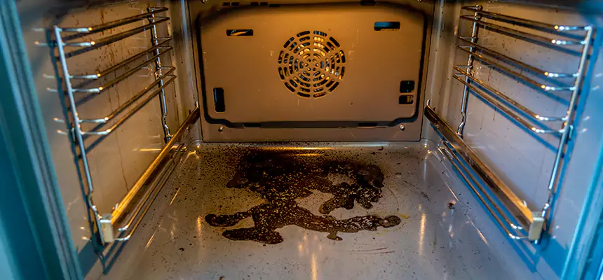 Our Dryer Vent Mold Cleaning Services in Inglewood-Finn Hill, WA