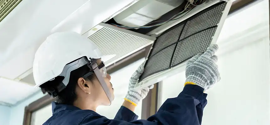 Our Lint Trap Cleaning Service Services in Inglewood-Finn Hill, WA