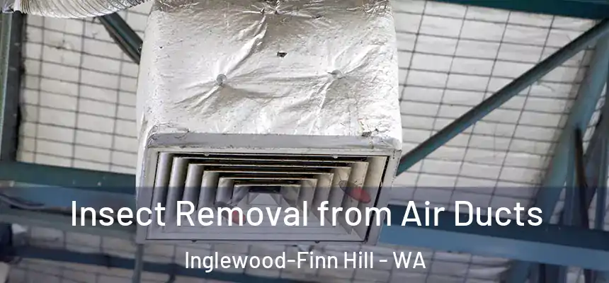  Insect Removal from Air Ducts Inglewood-Finn Hill - WA