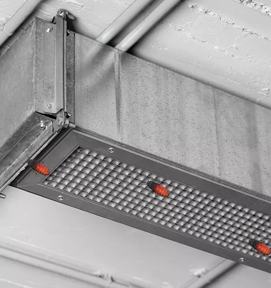 About Air Duct Cockroach Removal in Inglewood-Finn Hill, WA