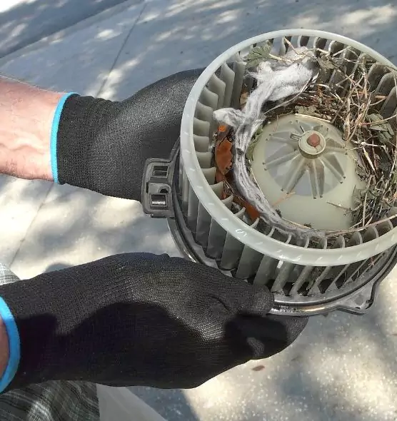 About Air Duct Mice Removal in Inglewood-Finn Hill, WA