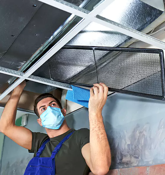 Professional Air Duct Pollen Cleaning in Inglewood-Finn Hill, WA
