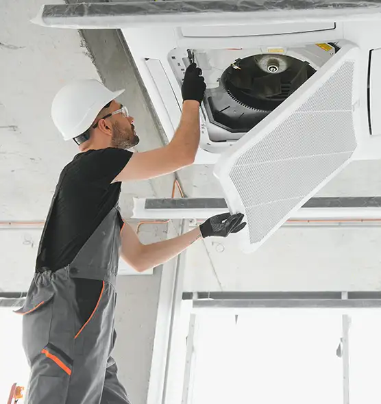 About Air Duct Rodent Removal in Inglewood-Finn Hill, WA