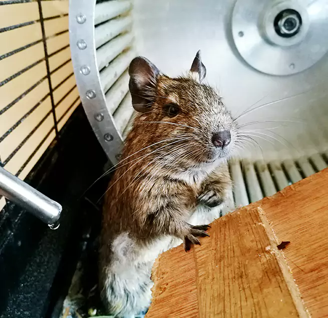 Why Homeowners & Businesses Trust Us Inglewood-Finn Hill, WA