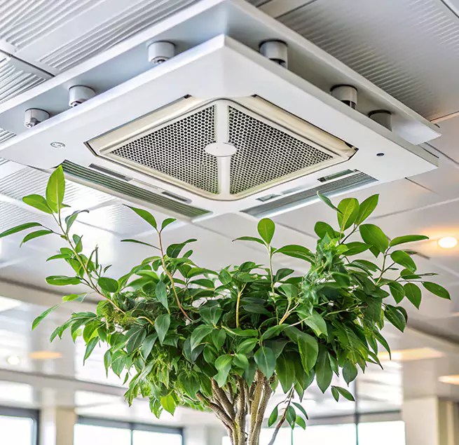 Why Homeowners & Businesses Trust Us in Inglewood-Finn Hill, WA