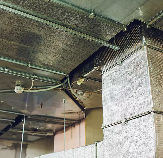 Why Homeowners & Businesses Trust Us in Inglewood-Finn Hill, WA?